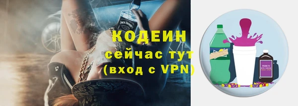 мдпв Горнозаводск