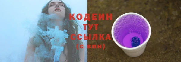 мдпв Горнозаводск